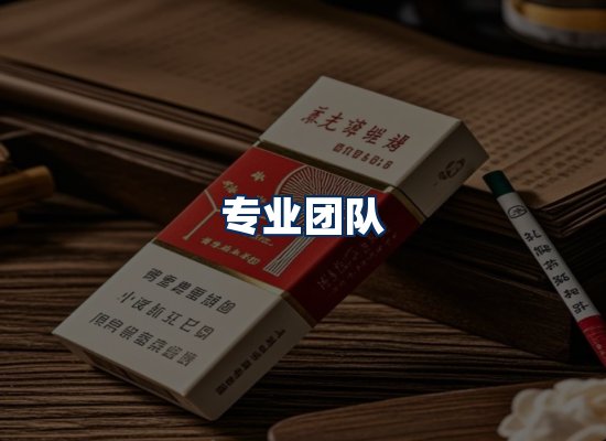专业团队